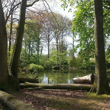 B & B De Pimpelmees 's-Gravenmoer Exteriör bild